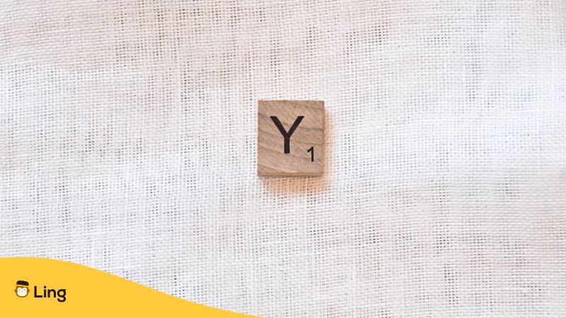 Piece Of A Puzzle With The Letter Y On Top Of A Fabric