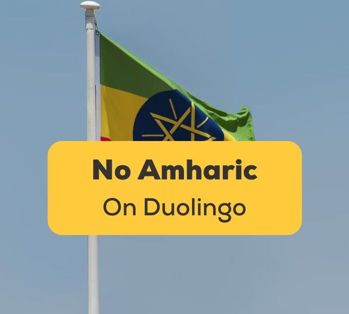 No Amharic on Duolingo Ling app