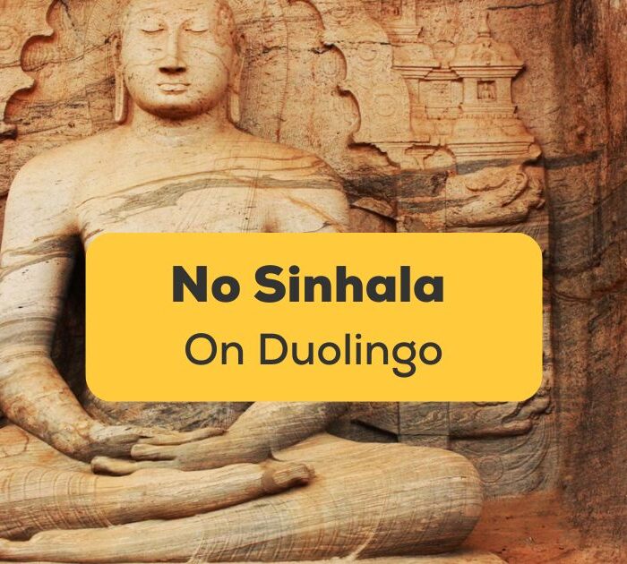 No Sinhala on Duolingo_Ling app