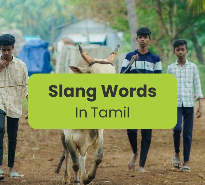Tamil slang words - Ling app - Tamil boys walk with cow