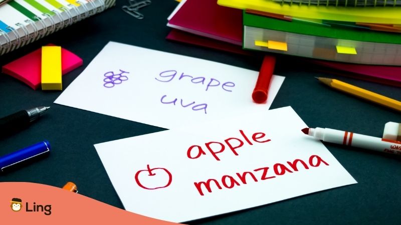 Flashcards That Say &Quot;Apple/Manzana&Quot; And &Quot;Grape/Uva&Quot;