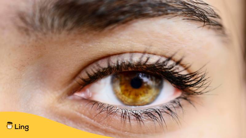 Auge Einer Frau