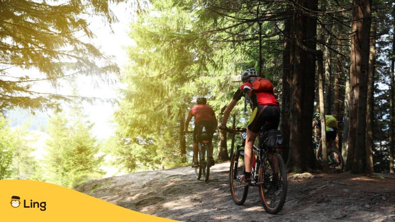 Mountainbiking Im Serbischen Wald
