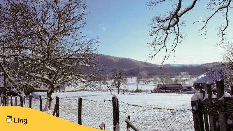 Image Of Winter Landscape In Serbian Countryside