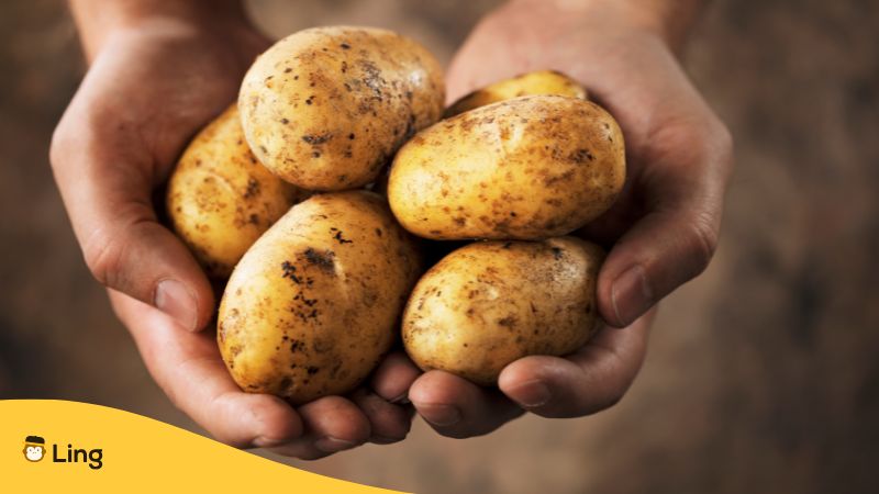 Zwei Hände Voll Mit Kartoffeln