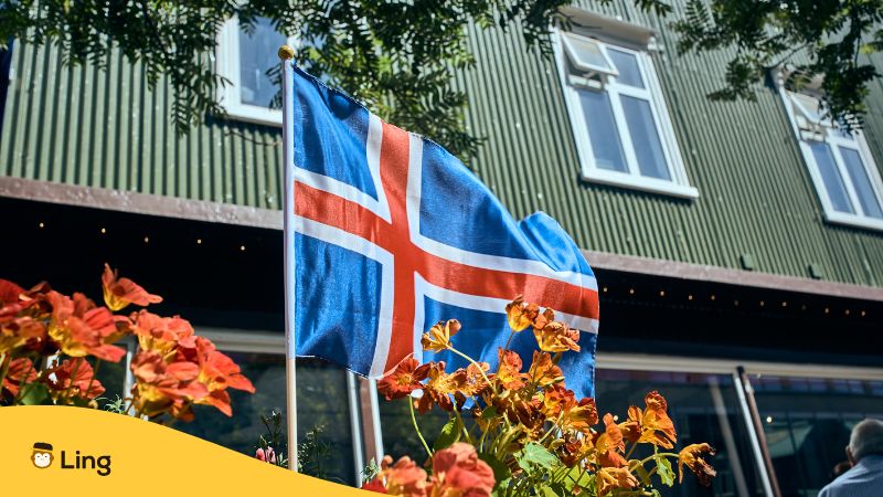 A Photo Of Iceland's Flag In Front Of A Building.