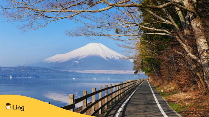 Weg Am See Zum Fuße Des Mount Fuji