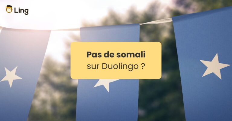 Pas De Somali Sur Duolingo Petits Drapeaux De La Somalie Suspendus Dans Un Jardin