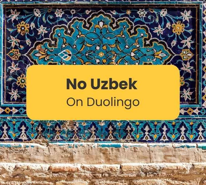 No Uzbek on Duolingo - Ling app