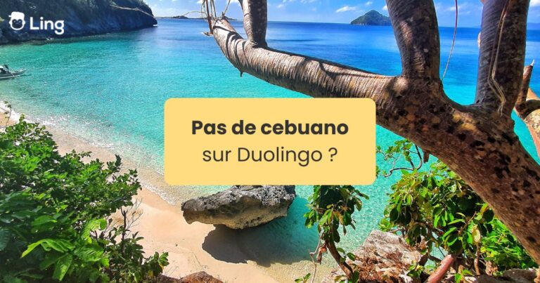 Pas De Cebuano Sur Duolingo Vue Sur Une Plage De Mer Turquoise Aux Philippines
