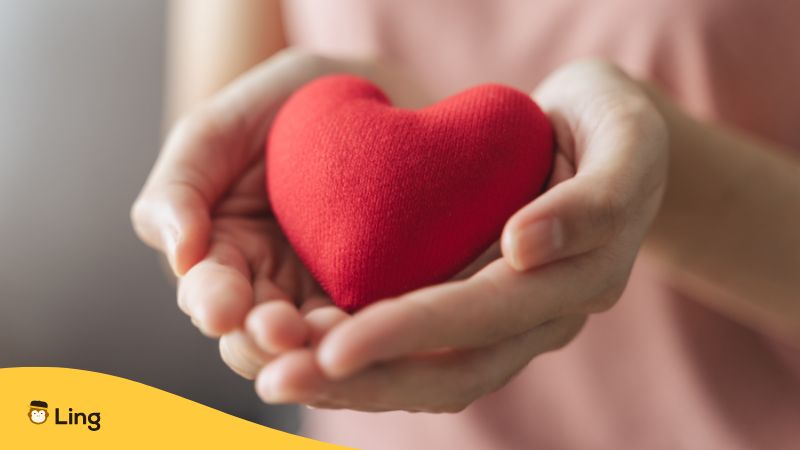 A Photo Of Hands Holding A Red Heart