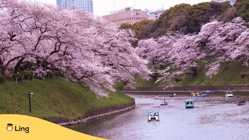 Rudere Ein Boot Auf Dem Chidorigafuchi Graben