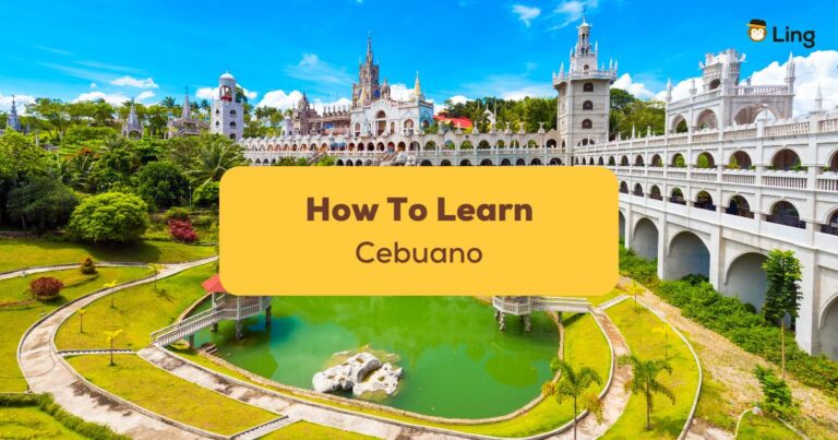 An Image Of The Catholic Simala Shrine In Sibonga, Cebu - How To Learn Cebuano