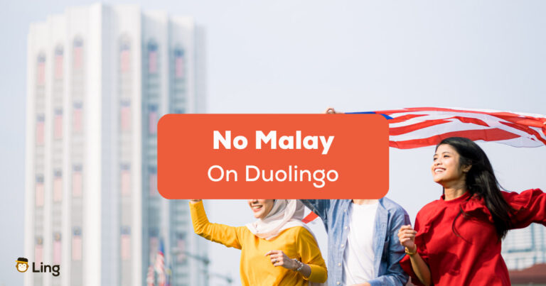 No Malay On Duolingo-People Holding The Malaysian Flag