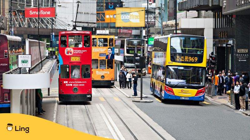 Public Transport Roaming On The Streets
