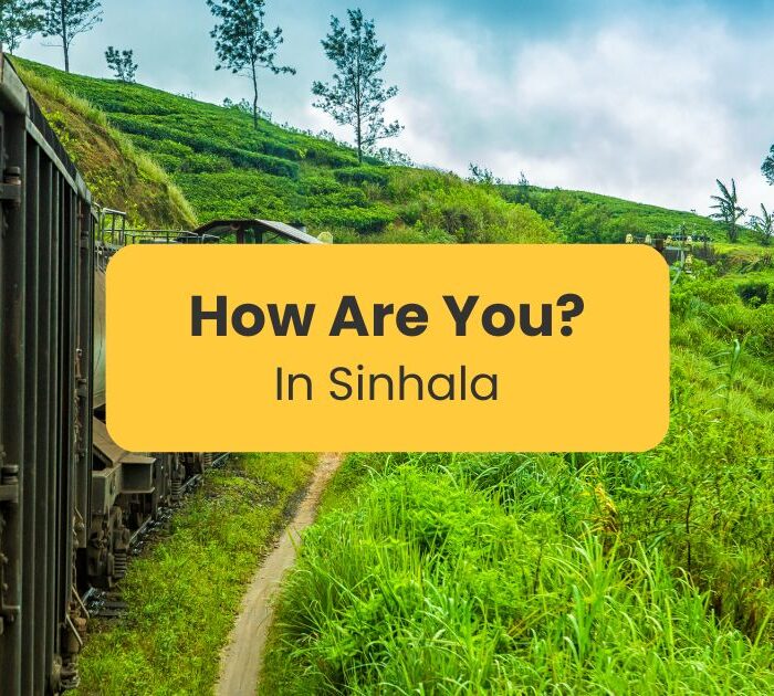 How are you in Sinhala - Sri Lanka railway track