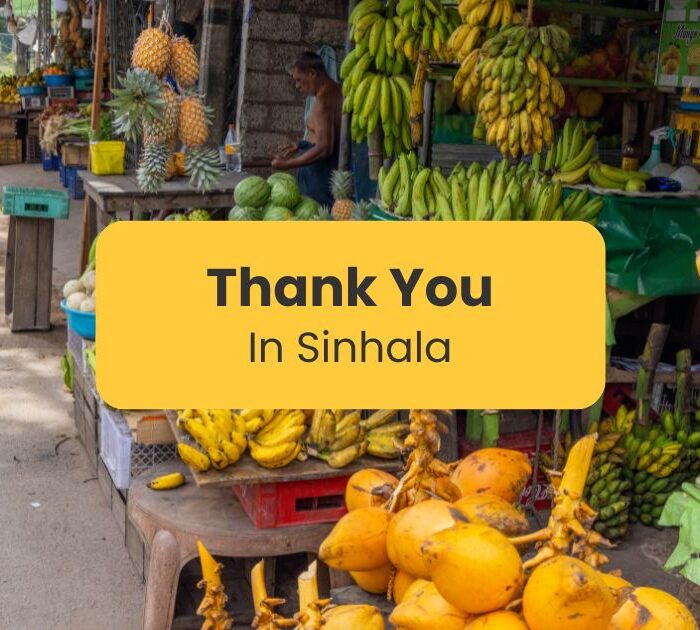 thank you in sinhala-red auto in market street