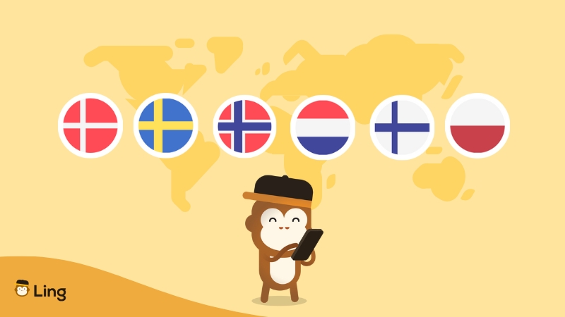Ling Using The App For Nordic &Amp; European Languages On Mobile Phone