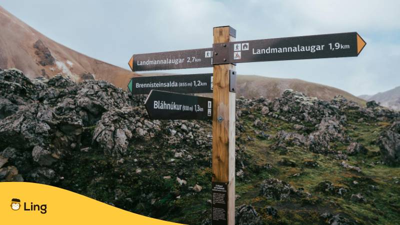 Wanderweg In Den Bergen Von Island