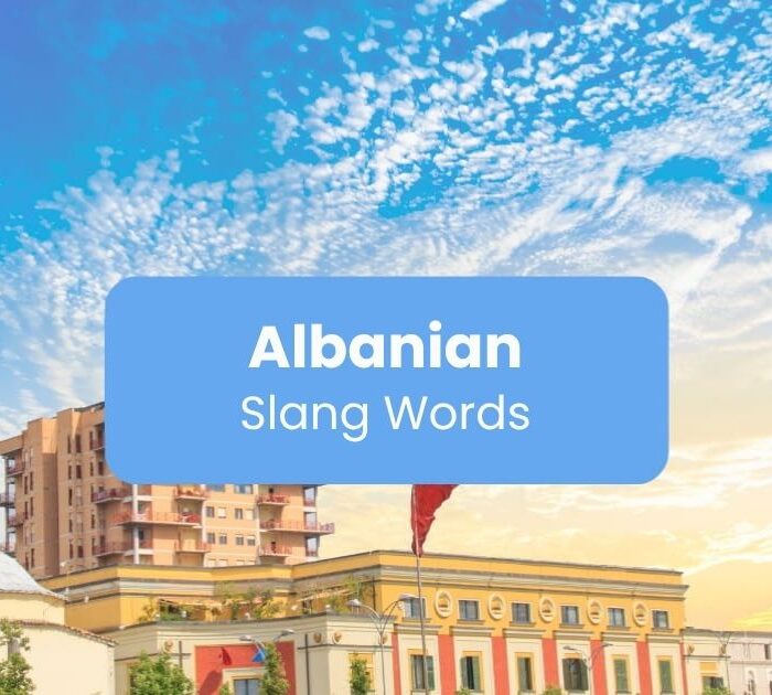 Albanian Slang Words - Ling app