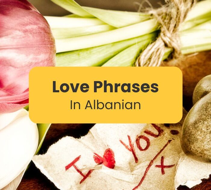 Love Phrases In Albanian- Ling app