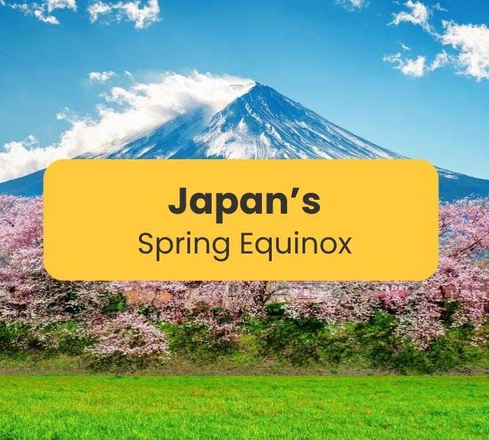 Spring Equinox In Japan - Mount Fuji and Sakura trees