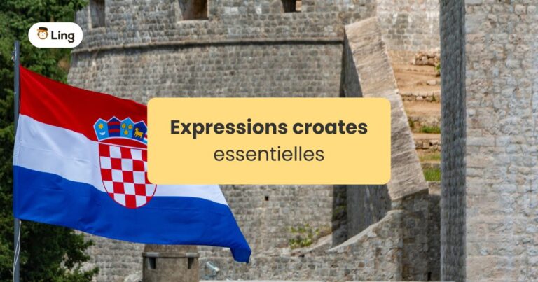 Expressione Croates Essentielles Drapeau Croate Devant Les Murs De La Vieille Ville De Dubrovnik