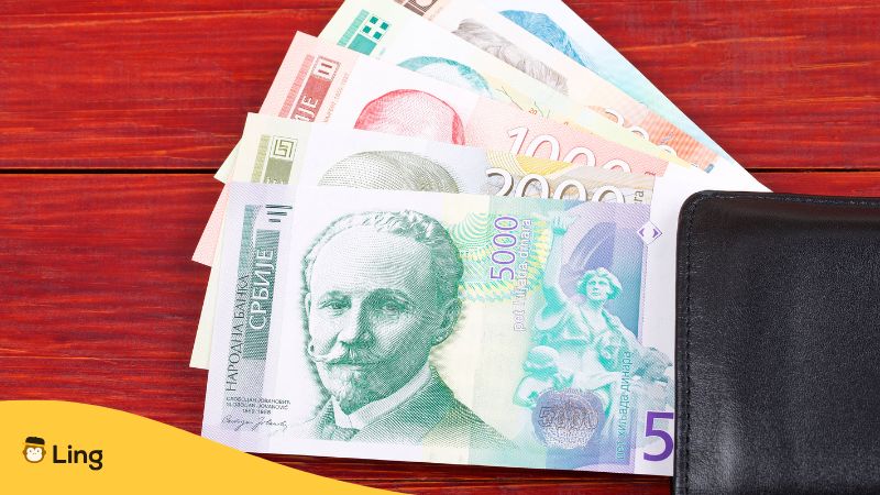 Serbische Geldscheine Auf Rotem Untergrund