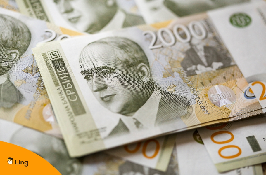 Serbian Dinar Currency Notes