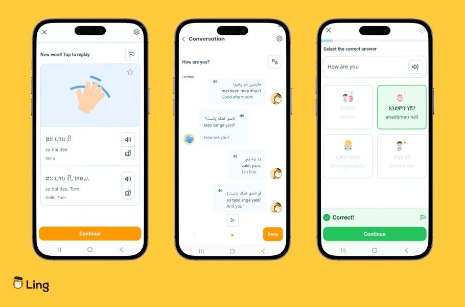Screenshots Of The Ling App's Features For Rare Languages