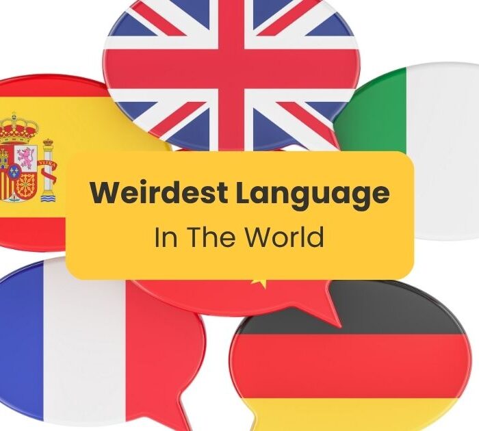 Weirdest language in the world - speech bubbles with flags from different countries