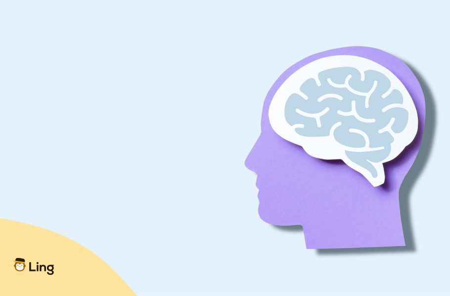Illustration Of A Paper Head With A Stylized Brain