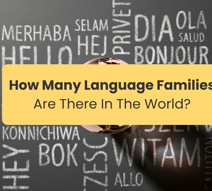 How many language families are there in the world World languages written in a black board