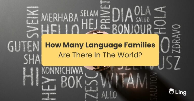 How Many Language Families Are There In The World World Languages Written In A Black Board