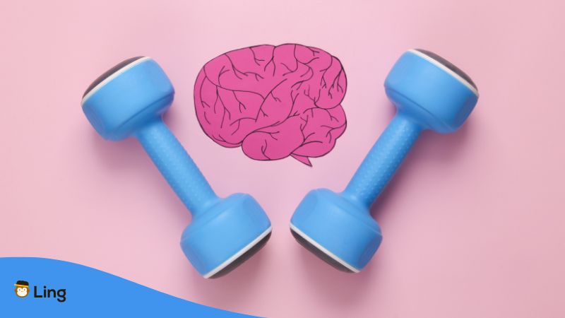 Konzept Für Gehirntraining