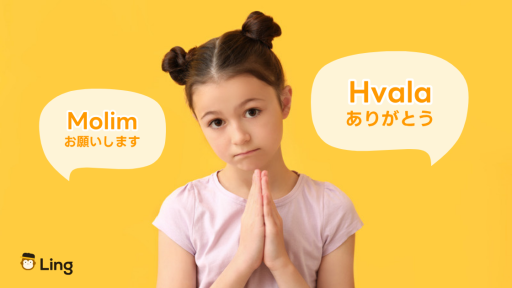 ボスニア語のフレーズ:Hvala(フヴァラ:ありがとう)とMolim(モリム:お願いします)