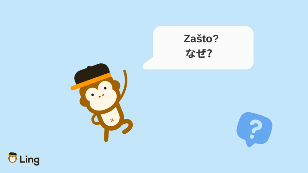 セルビア語の疑問詞Zašto?(なぜ?)とLingのおさる