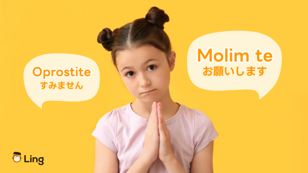 ボスニア語の丁寧なフレーズ:Molim Te(お願いします)とOprostite(すみません)