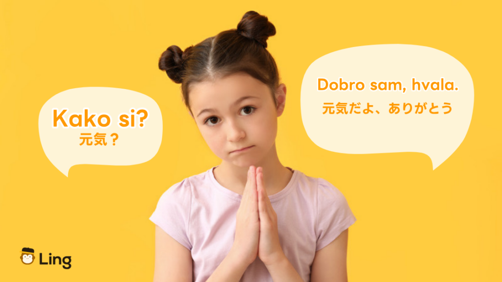 セルビア語の会話例:Kako Si?(元気?)とDobro Sam, Hvala.(元気だよ、ありがとう)
