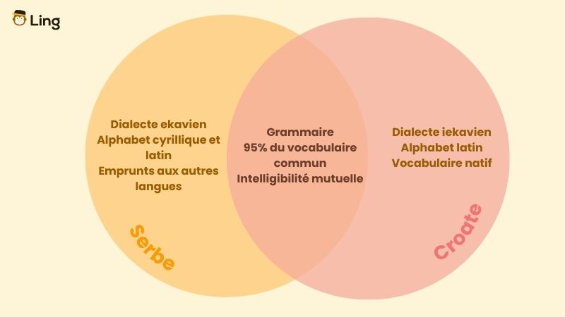 Schéma Des Différences Entre Le Serbe Et Le Croate
