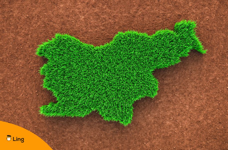 The Shape Of Slovenia In Grass