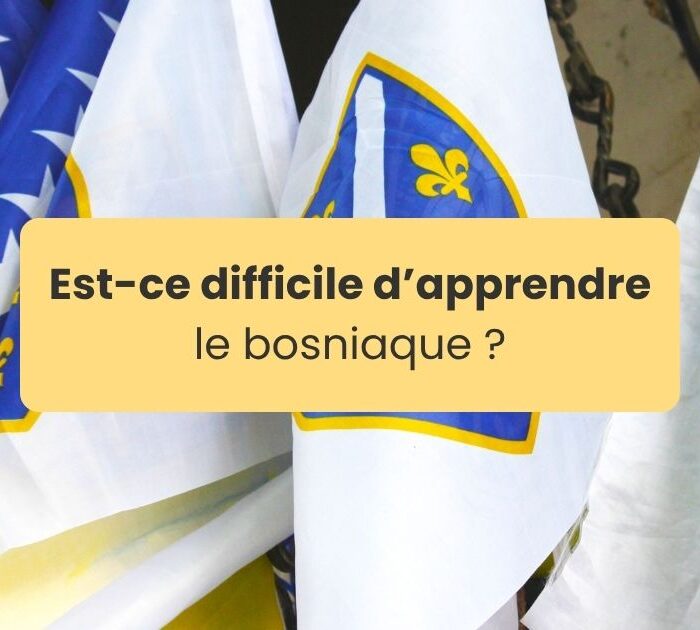 difficile d'apprendre le bosniaque Drapeaux de la Bosnie-Herzégovine