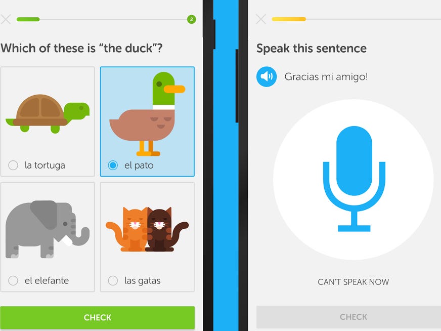 Rosetta Stone Vs Duolingo