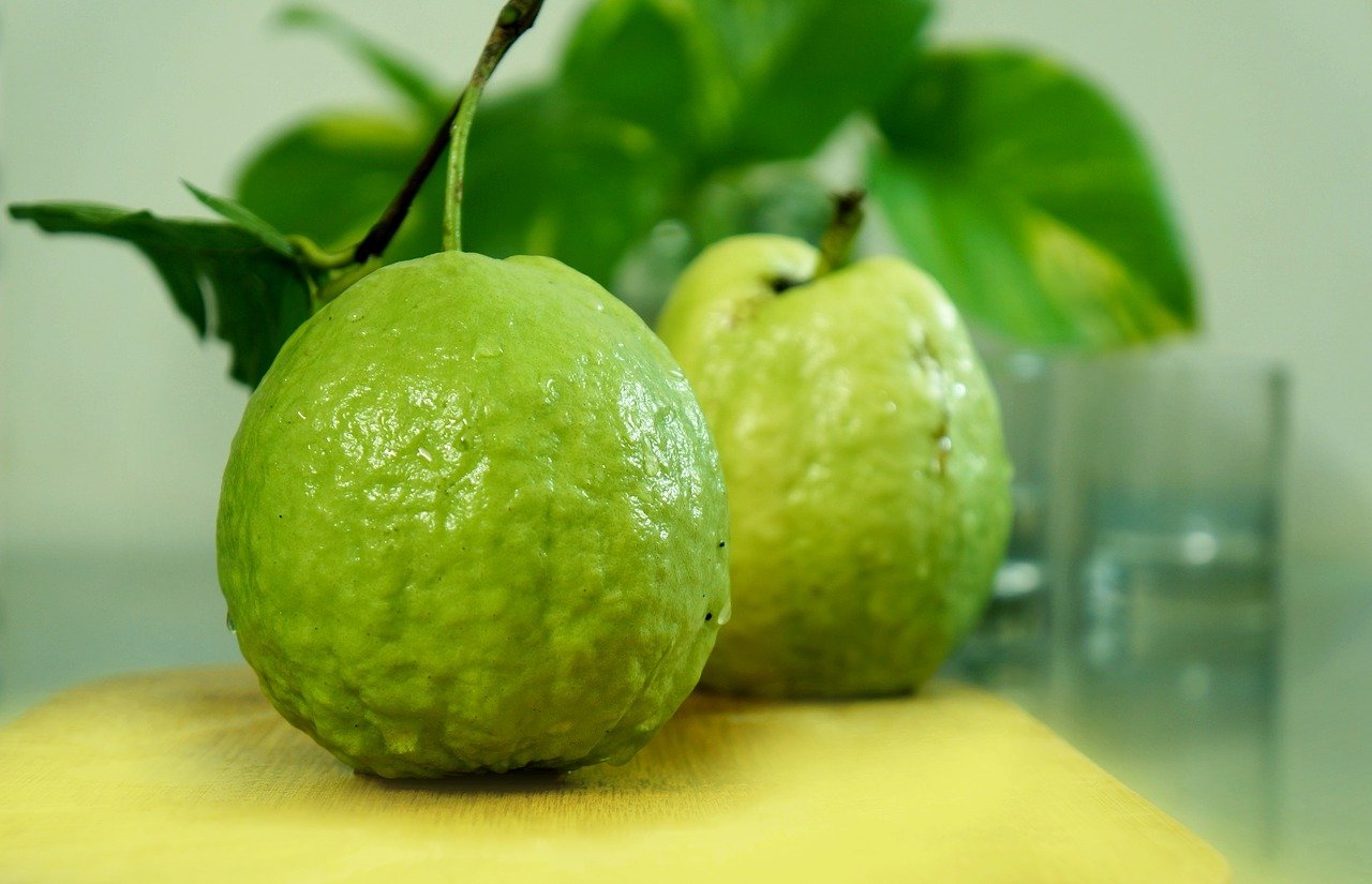 Farang meaning guava